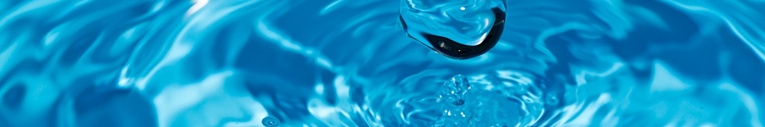 Test: sei un professionista