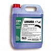 LAVANDA