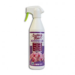 EMPHASY BLOOM